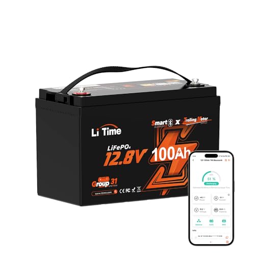 12V 100Ah LiFePO4 Battery with Built-in 100A BMS D2856