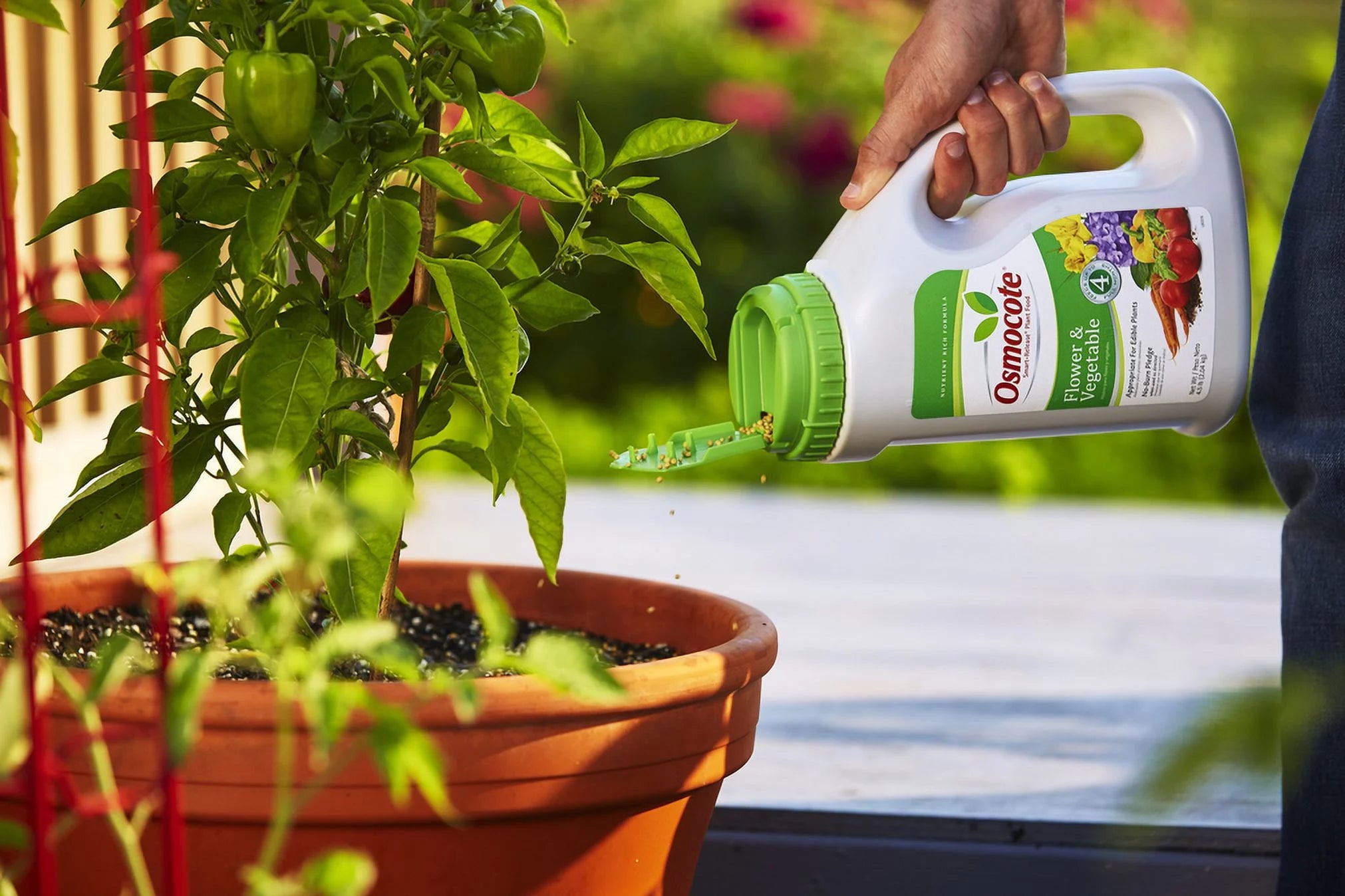 Smart-Release Plant Food Flower & Vegetable 4.5 lb. H2872