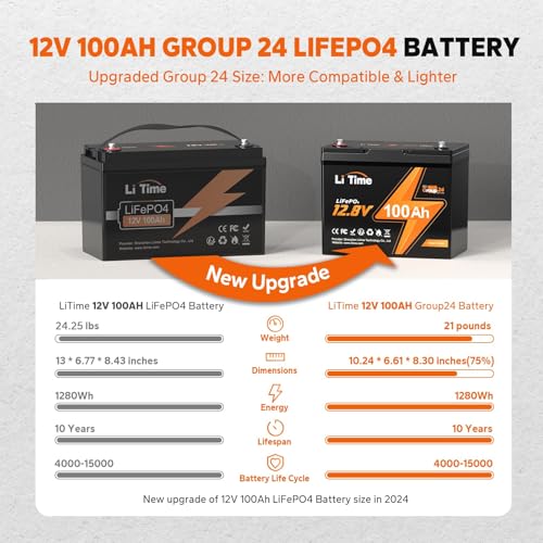 12V 100Ah LiFePO4 Battery with Built-in 100A BMS D2856