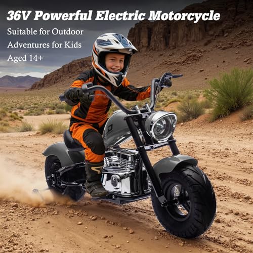 Electric Dirt Bike for Kids 14+, 360W Motor, 15.5 MPH, Gray Q330721