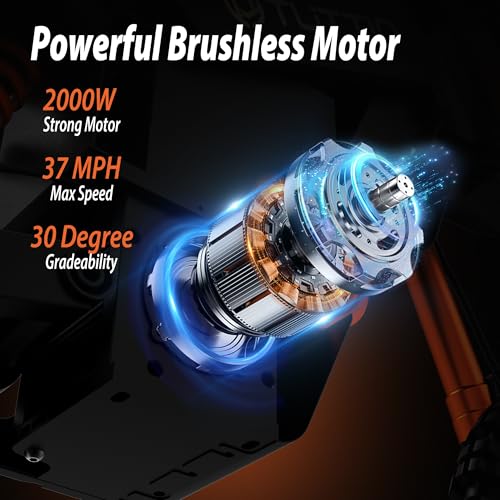 Electric Dirt Bike 48V 21AH Removable Battery Hydraulic Brakes Q101470