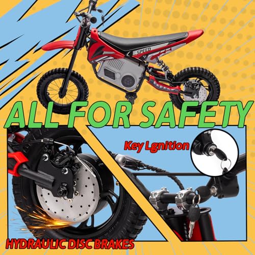 Electric Dirt Bike for Kids 8-14, 36V 350W, Off-Road Motorcycle I642