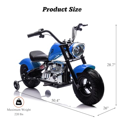 Electric Dirt Bike for Kids 14+, 360W Motor, 15.5 MPH, Gray Q330721