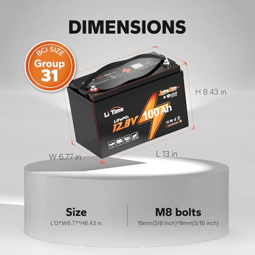 12V 100Ah LiFePO4 Battery with Built-in 100A BMS D2856