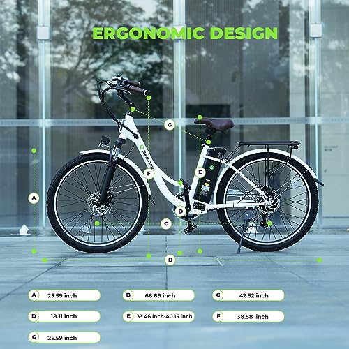 Electric Bike for Adults 750W 28mph with Removable Battery and Fat Tire W3858