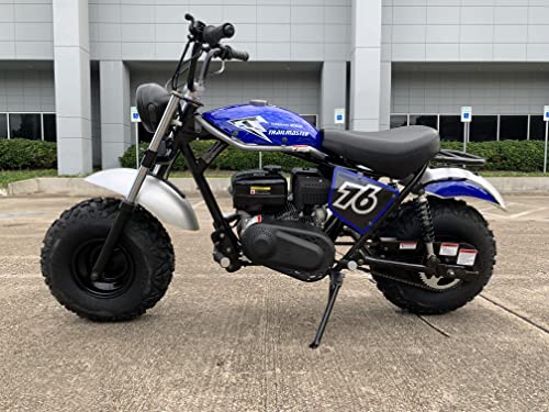 Mini Bike 196cc with Front and Rear Brakes P15467