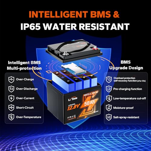 12V 100Ah LiFePO4 Battery with Built-in 100A BMS D2856