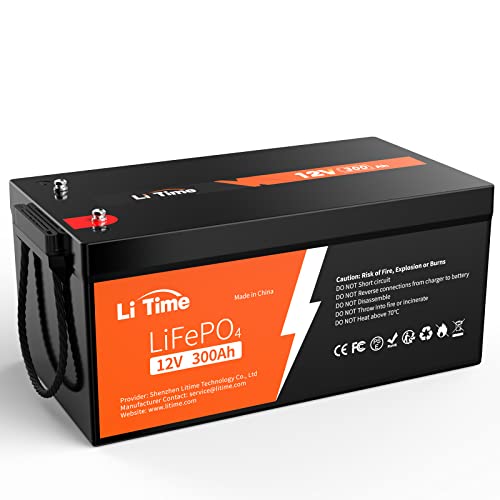 12V 100Ah LiFePO4 Battery with Built-in 100A BMS D2856