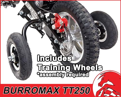 Electric Dirt Bike for Kids, 250W, 14 Mph, Off-Road Mini Bike M625363