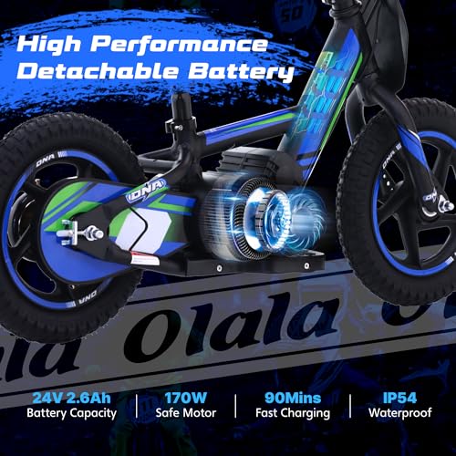 Electric Dirt Bike for Kids Aged 3-6, 170W Motor, 24V Battery, 12IN Tires J8048