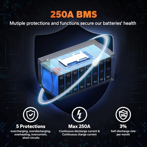 12V 100Ah LiFePO4 Battery with Built-in 100A BMS D2856