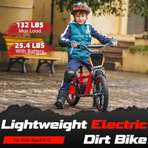 Electric Dirt Bike for Kids Aged 3-6, 170W Motor, 24V Battery, 12IN Tires J8048