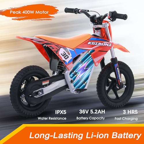Electric Dirt Bike for Kids Aged 4-8, 350W Brushless Motor, 14'' Off-Road Tires, Blue Y255