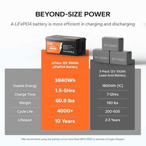 12V 100Ah LiFePO4 Battery with Built-in 100A BMS D2856