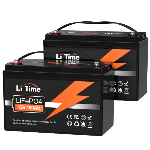 12V 100Ah LiFePO4 Battery with Built-in 100A BMS D2856