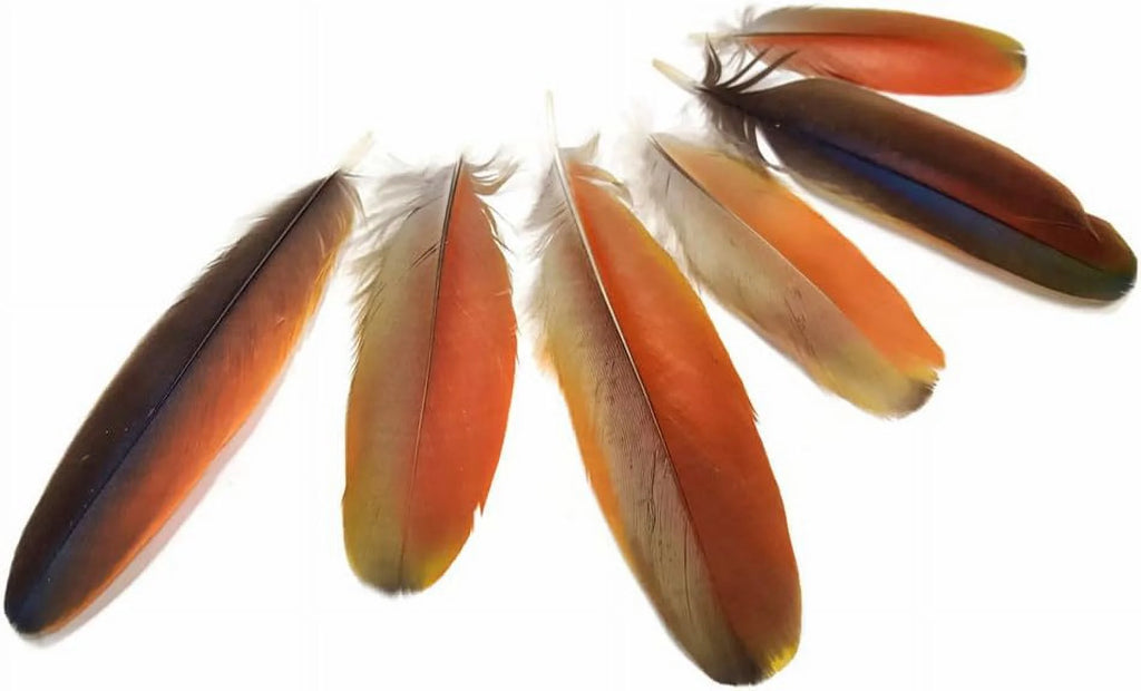 Natural Red Scarlet Macaw Feathers, 4 Pieces H826885