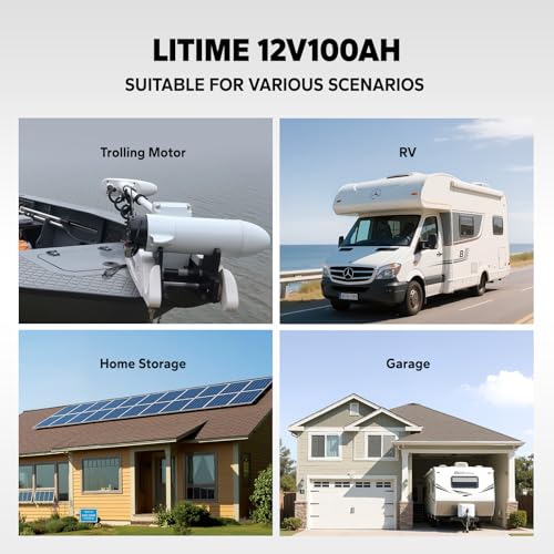 12V 100Ah LiFePO4 Battery with Built-in 100A BMS D2856