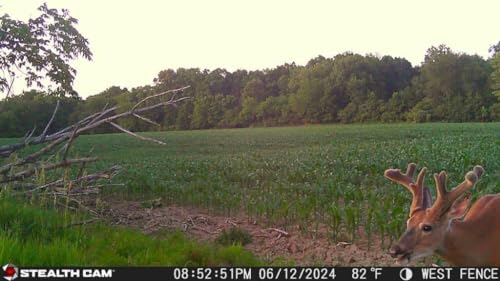 Hunting Cellular Trail Camera 36MP 1080P HD Video 360-Degree View B10817