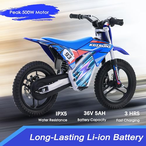 Electric Dirt Bike for Kids Aged 4-8, 350W Brushless Motor, 14'' Off-Road Tires, Blue Y255