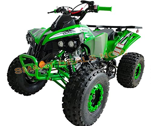 125cc ATV Fully Automatic with Reverse Double Headlights LED Gas 4 Wheeler U53754