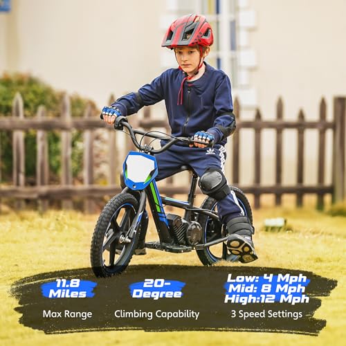 Electric Dirt Bike for Kids Aged 3-6, 170W Motor, 24V Battery, 12IN Tires J8048