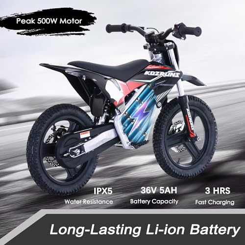 Electric Dirt Bike for Kids Aged 4-8, 350W Brushless Motor, 14'' Off-Road Tires, Blue Y255