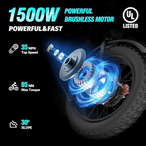Electric Bike for Adults, 2000W, 52V 40AH, 20" Fat Tire, All Terrain U409