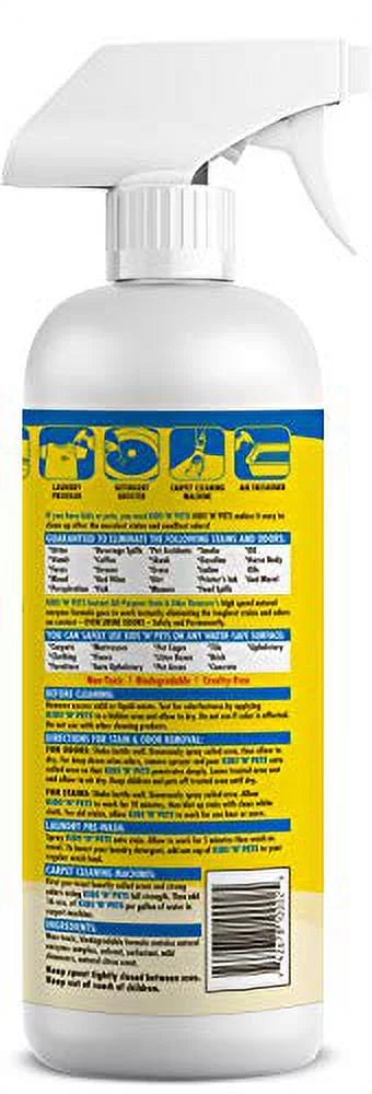 Instant all-purpose stain & odor remover, 27.05 oz R3363
