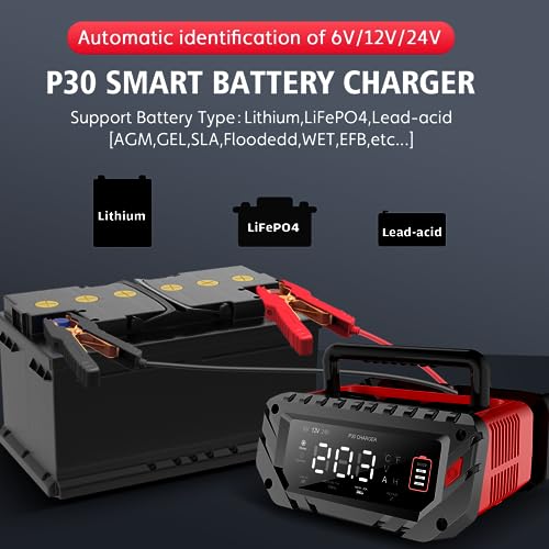 20 Amp Lithium Battery Charger, 12V and 24V LiFePO4, Lead-Acid Portable Car Battery Charger A814524