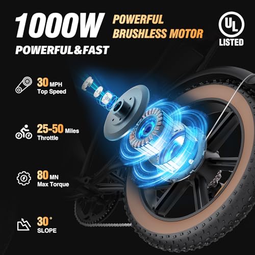 Electric Bike for Adults, 2000W, 52V 40AH, 20" Fat Tire, All Terrain U409