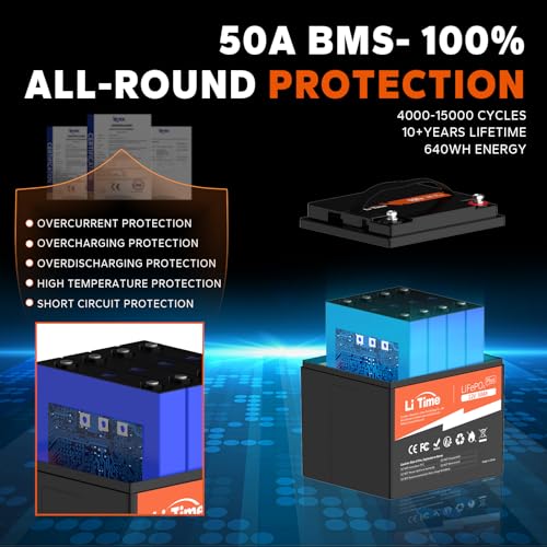 12V 100Ah LiFePO4 Battery with Built-in 100A BMS D2856