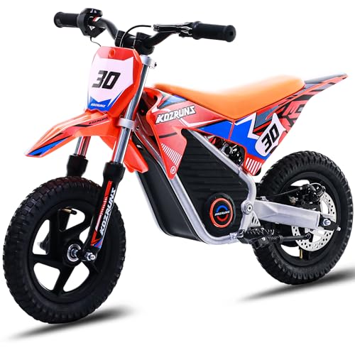 Electric Dirt Bike for Kids Aged 4-8, 350W Brushless Motor, 14'' Off-Road Tires, Blue Y255