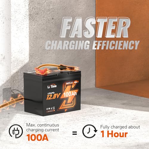 12V 100Ah LiFePO4 Battery with Built-in 100A BMS D2856