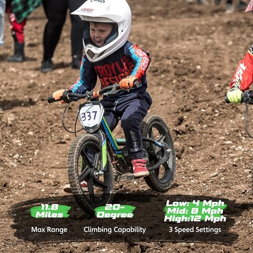 Electric Dirt Bike for Kids Aged 3-6, 170W Motor, 24V Battery, 12IN Tires J8048