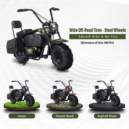 Electric Mini Bike for Kids, 36V Battery, 1000W Motor, 2 Speeds S644