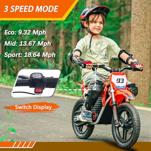 Electric Dirt Bike for Kids Aged 4-8, 350W Brushless Motor, 14'' Off-Road Tires, Blue Y255