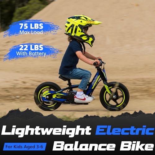 Electric Dirt Bike for Kids Aged 3-6, 170W Motor, 24V Battery, 12IN Tires J8048