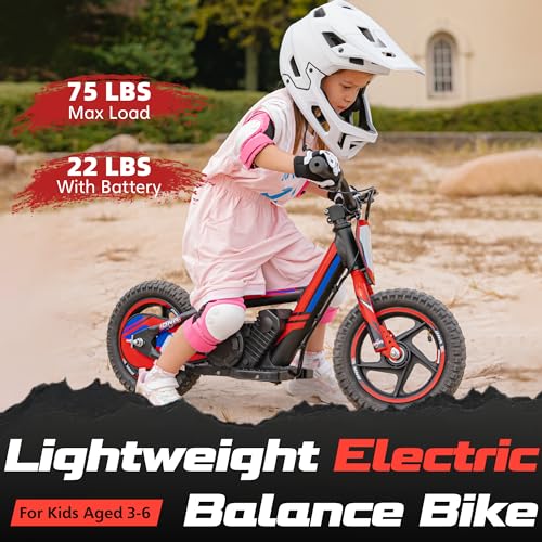Electric Dirt Bike for Kids Aged 3-6, 170W Motor, 24V Battery, 12IN Tires J8048