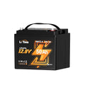 12V 100Ah LiFePO4 Battery with Built-in 100A BMS D2856