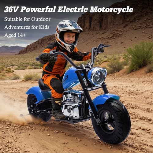 Electric Dirt Bike for Kids 14+, 360W Motor, 15.5 MPH, Gray Q330721