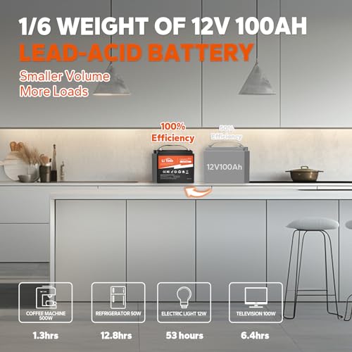 12V 100Ah LiFePO4 Battery with Built-in 100A BMS D2856