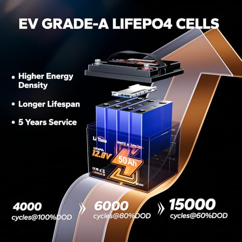 12V 100Ah LiFePO4 Battery with Built-in 100A BMS D2856