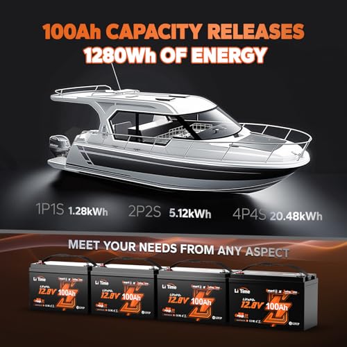 12V 100Ah LiFePO4 Battery with Built-in 100A BMS D2856