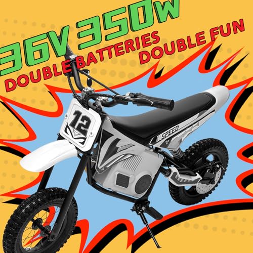 Electric Dirt Bike for Kids 8-14, 36V 350W, Off-Road Motorcycle I642