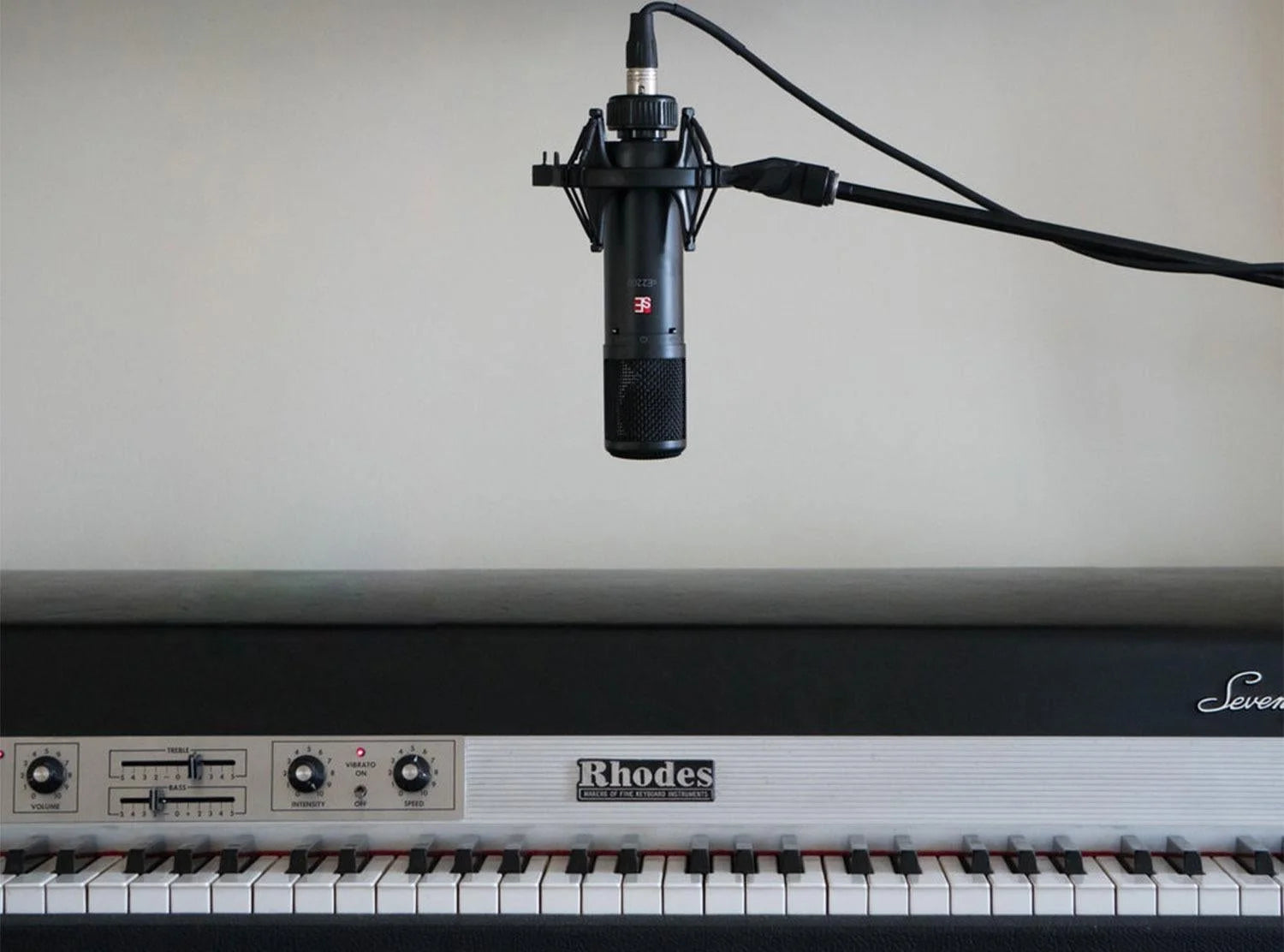 Large Diaphragm Condenser Microphone with Shockmount and Filter U978