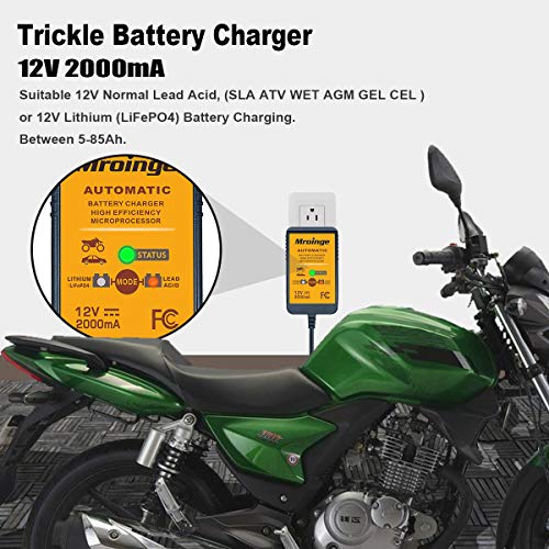 12V 2A Automatic Trickle Battery Charger Maintainer for Car Motorcycle Lawn Mower Boat ATV M415468