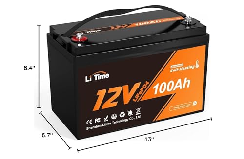12V 100Ah LiFePO4 Battery with Built-in 100A BMS D2856