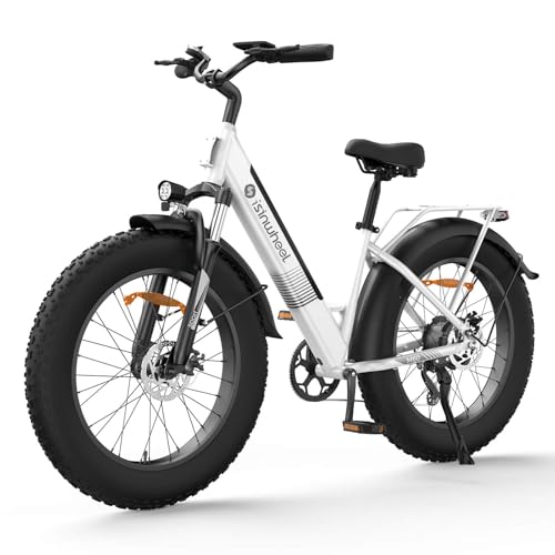 Electric Bike for Adults 750W 28mph with Removable Battery and Fat Tire W3858