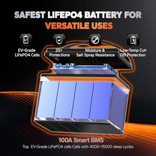 12V 100Ah LiFePO4 Battery with Built-in 100A BMS D2856