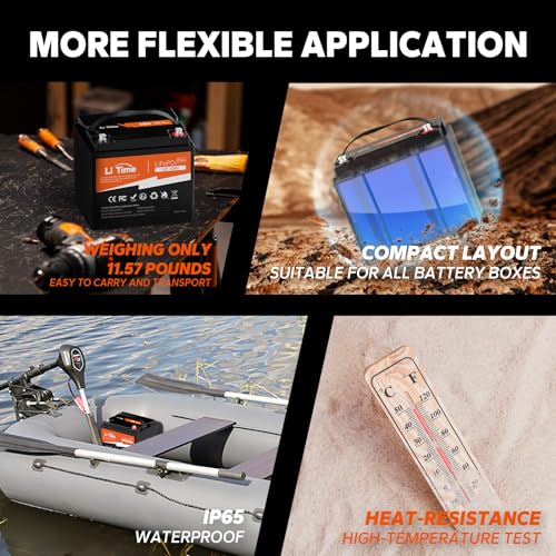12V 100Ah LiFePO4 Battery with Built-in 100A BMS D2856